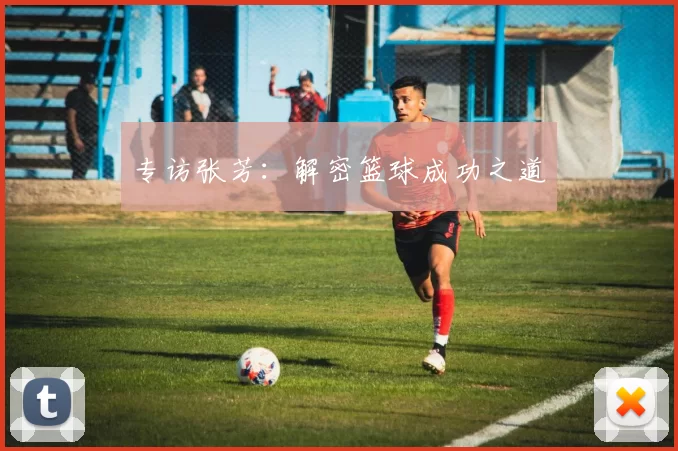 专访张芳：解密篮球成功之道