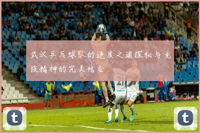 武汉乒乓球队的速度之道探秘与竞技精神的完美结合