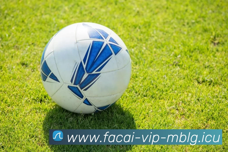 乐竞体育平台生态图