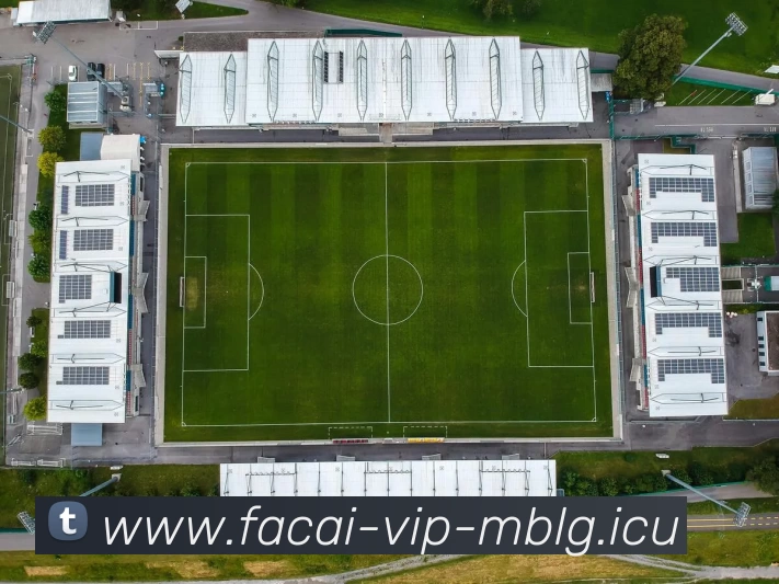 乐竞体育APP 封面图